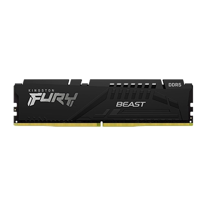 Buy 32G DDR5 6000 KING EXPO BEAST at low price from digiteq.com